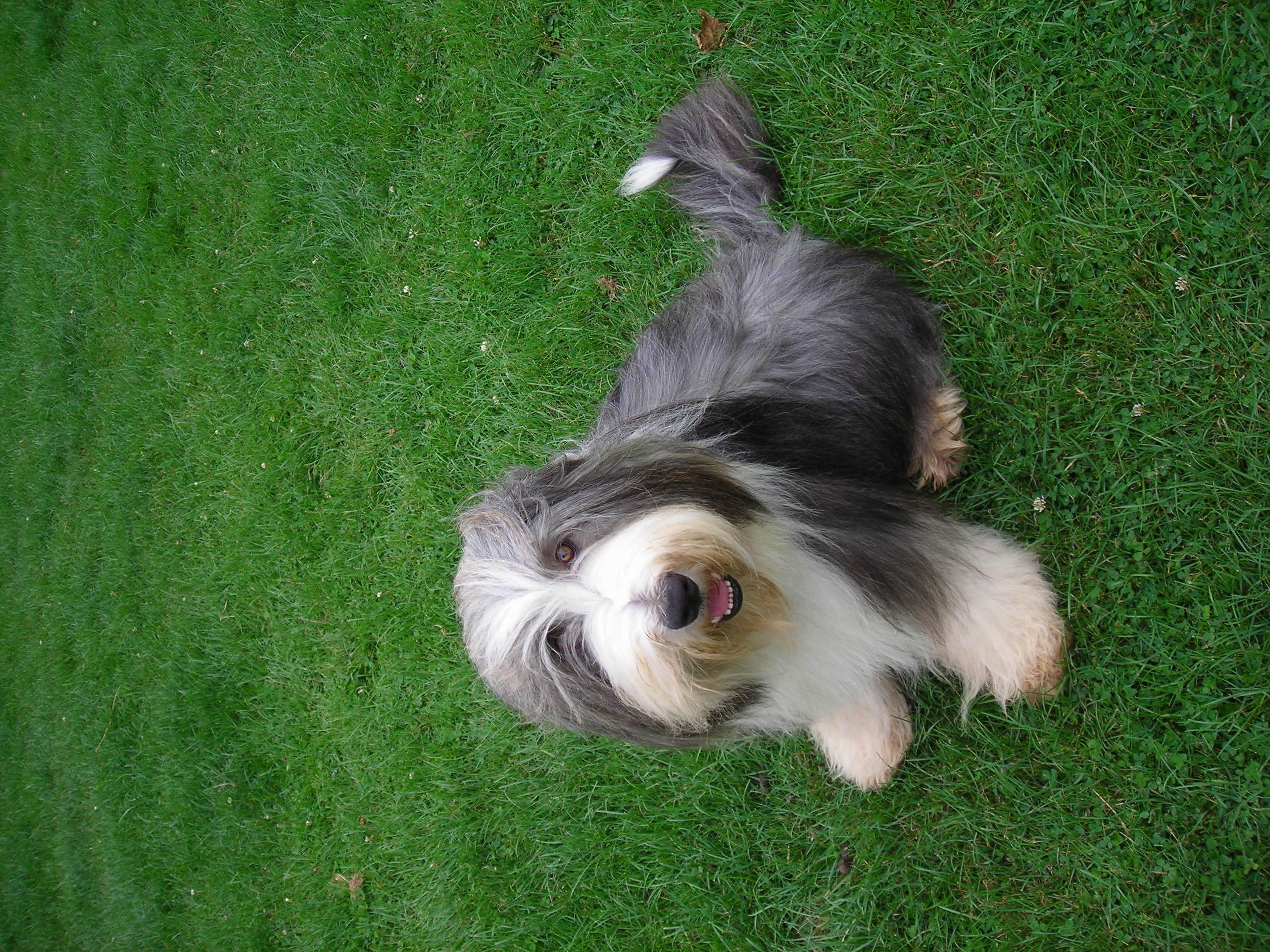 Voie lactee de la Planète de Yoda