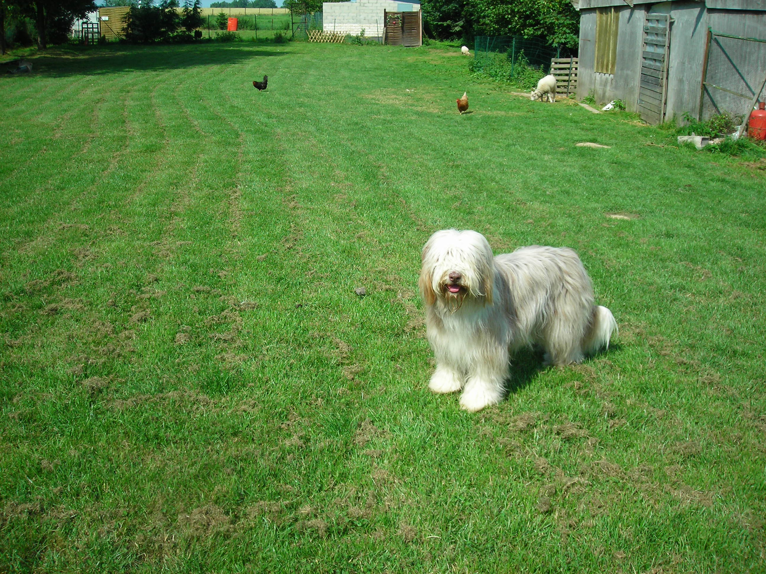 Vauksane (Sans Affixe)