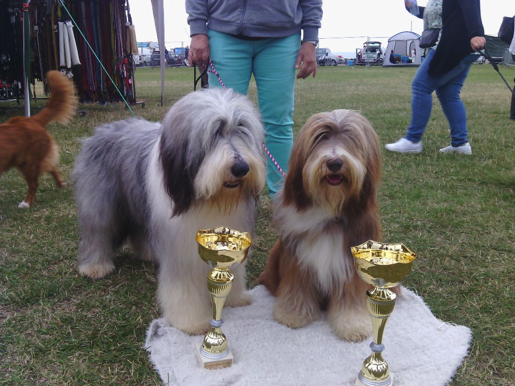 Jynka a dream of Bear'd